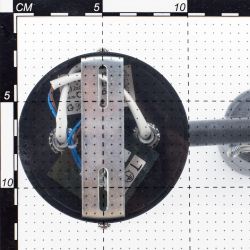 Citilux Ринг CL525542 Спот поворотный Чёрный