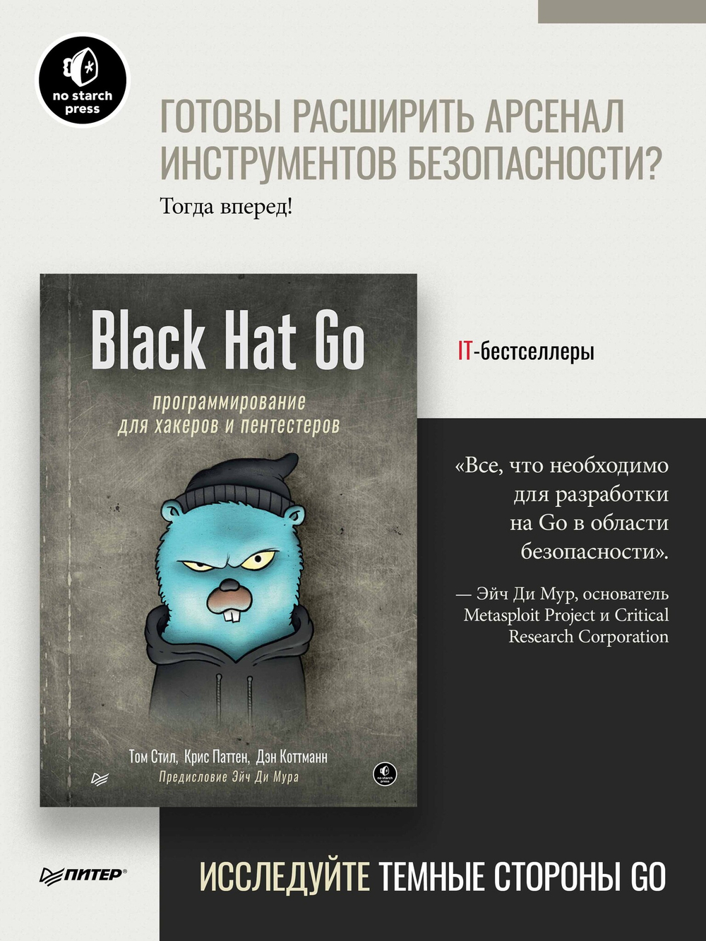 Black Hat Go: Программирование для хакеров и пентестеров