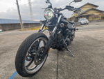 Yamaha XV1900 Raider 052591