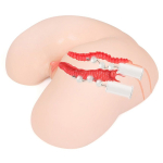 Мастурбатор-полуторс с двойным слоем материала и вибрацией Kokos Maria Onahole Real Vagina M01-003-12DHV