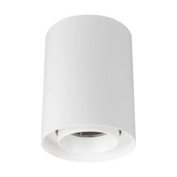 Светильник SP-FOCUS-R110-18W Day4000 (WH, 24 deg, 230V) (Arlight, IP54 Металл, 5 лет) 054838