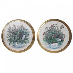 Картины "Травы"