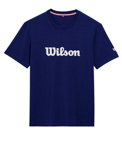 Мужская теннисная футболка Wilson Team Graphic - небесный
