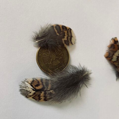 Перья вальдшнепа пушистые 4-6 см. 10 шт.