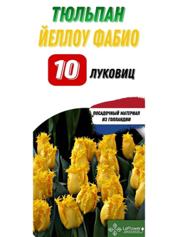 Тюльпан Луковица, Еллоу Фабио, 10шт