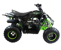 MOTAX ATV Pentora 110 cc черно-зеленый