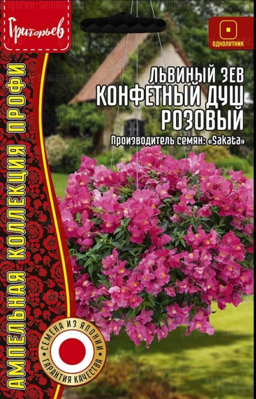 Львиный зев Конфетный душ розовый