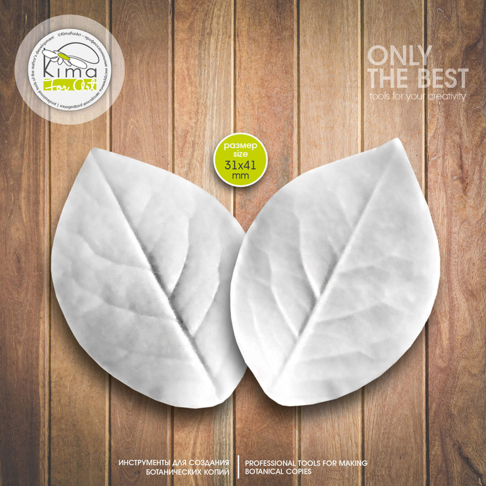 Роза кустовая лист маленький круглый