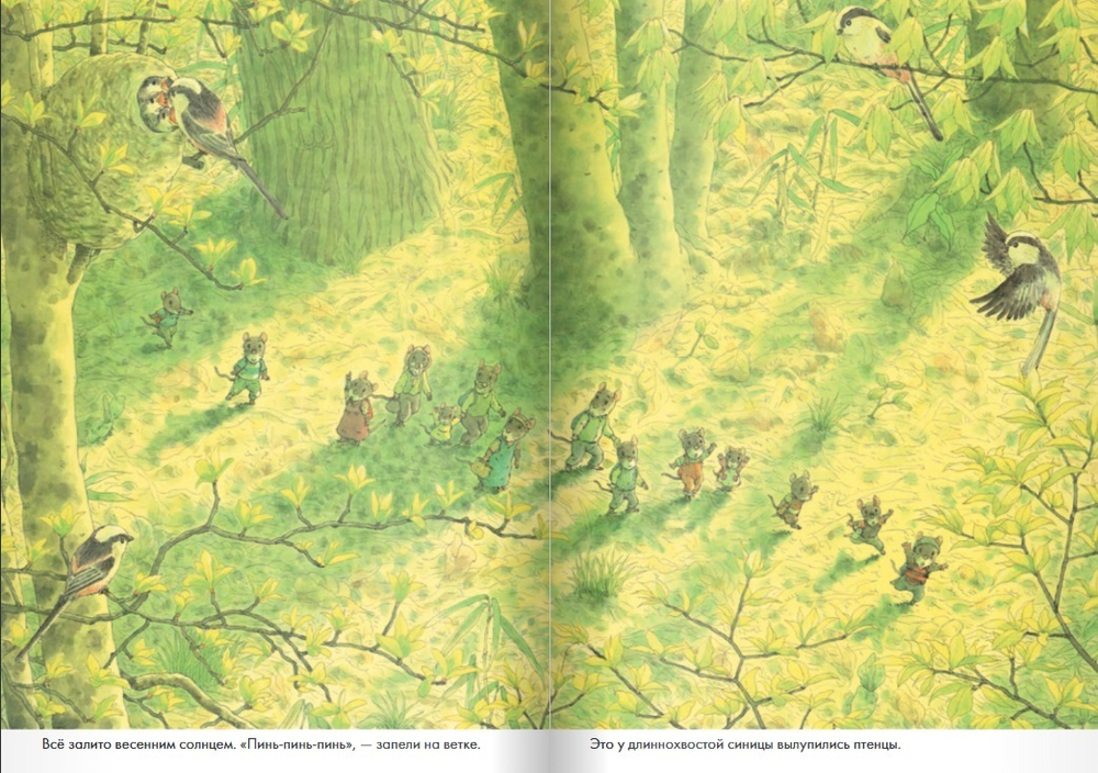 14 лесных мышей. Пикник