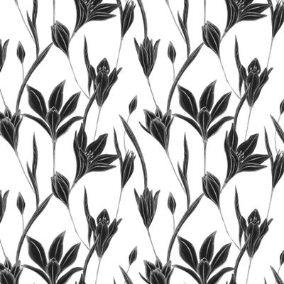 Цветы бродеи нарисованы вручную на белом фоне. Natural plants in bloom.