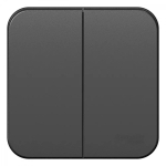 BLANCA О/У 2-клавишный ВЫКЛЮЧАТЕЛЬ (сх.5), 10А, 250В, АНТРАЦИТ