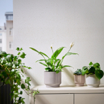 Горшок для растений IKEA HONUNGSPALM (ХОНУНГСПАЛМ), Серо-бежевый, 15 см