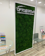 Мох плоский 1 кв.м.