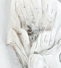 ART-818 Картина «Белые грезы»