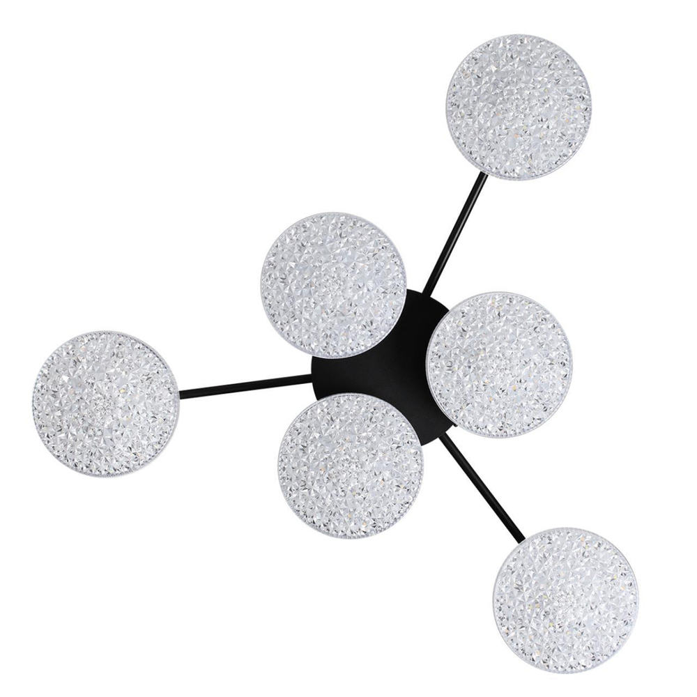 Потолочная светодиодная люстра Lumion DIDANA 8236/6CL