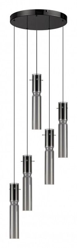 Подвесная люстра Odeon Light Scrow 5058/25L