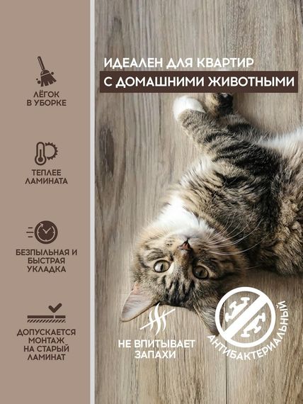 SPC ламинат I-Floors Chamfer 4v - Дуб Куршский