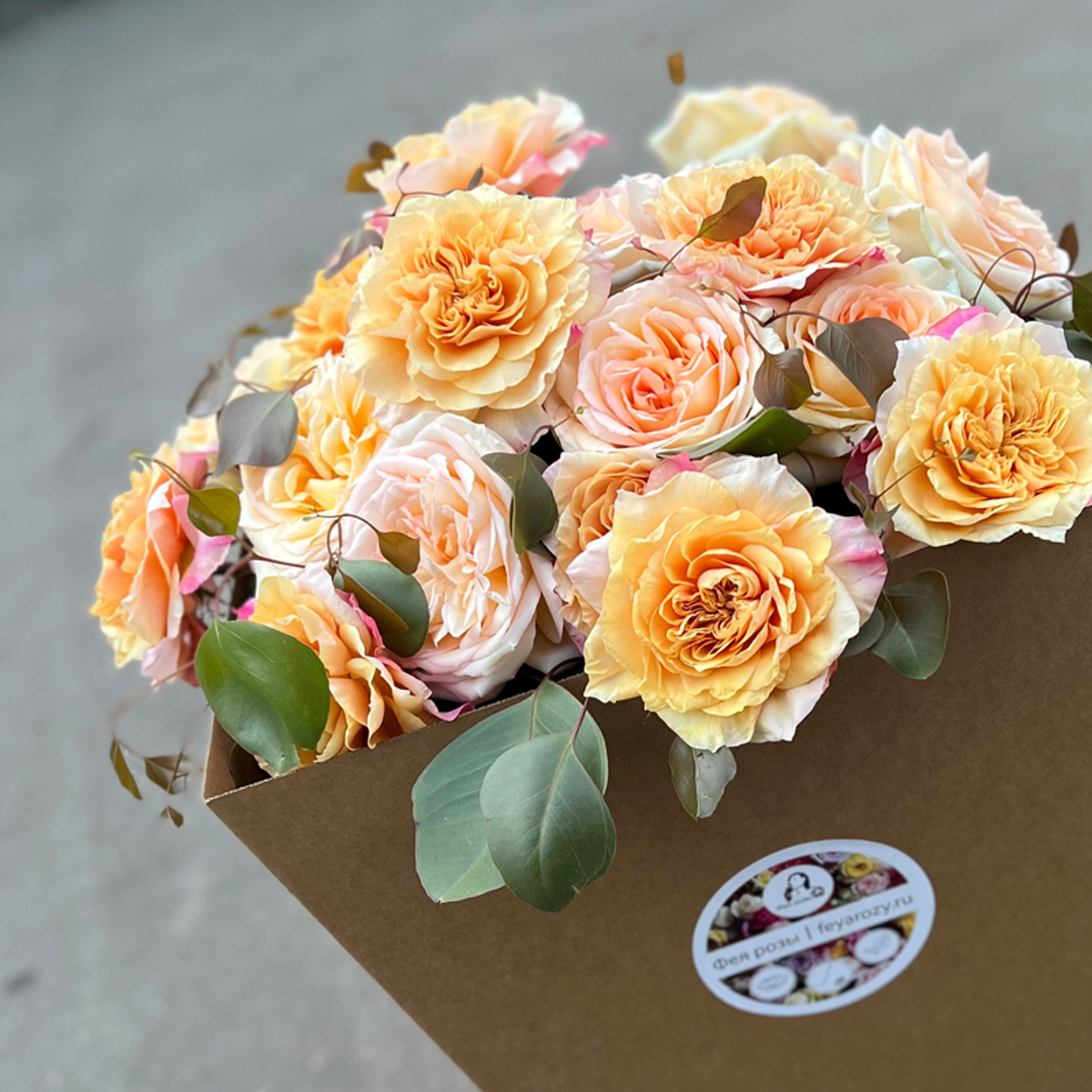 На восходе солнца — чайного цвета розы в полном великолепии