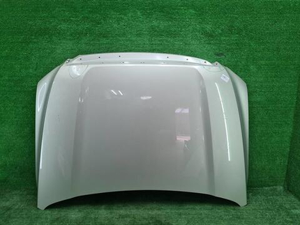 Капот Tank 500 (2021-н.в.)
