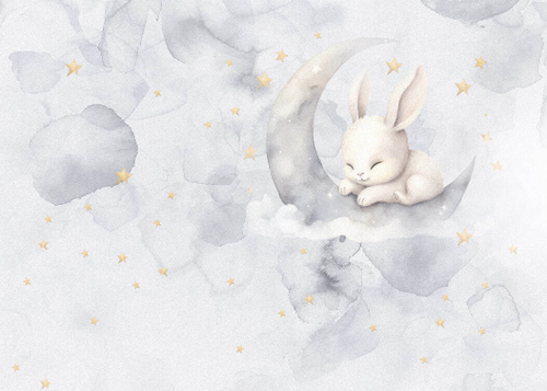 Детские №338 Фотообои и Фрески