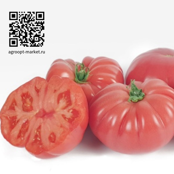 Вермиленза_F1_семена_томата_индетерминантного_Enza_Zaden_культура – фото 2