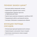 RNL ЦИНК С ПЕПТИДОМ СОСУДОВ