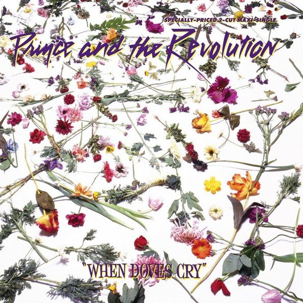 Prince / When Doves Cry (Single) (12&quot; Vinyl)