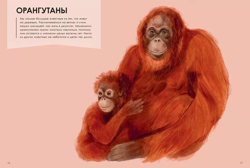 Лучшие родители