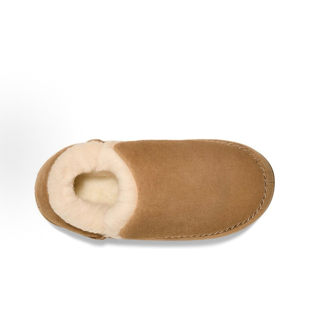 UGG Anders Slipper