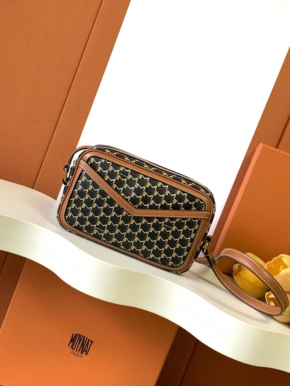 Moynat Camera Bag 22 cm