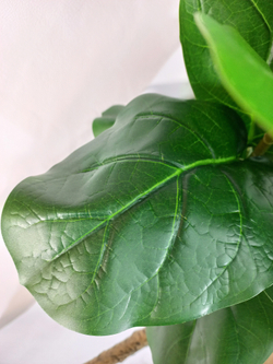 Искусственное растение разборное Фикус Лирата 180см в кашпо