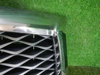 DSCN5643.jpg