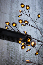 Ceiling design lamp  16.9 by Bocci (Amber)