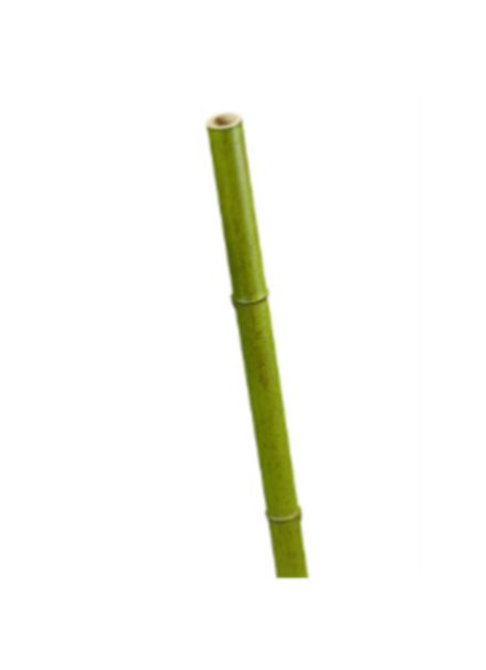 Бамбук стебель полый св. зелёный толстый, в-60 см