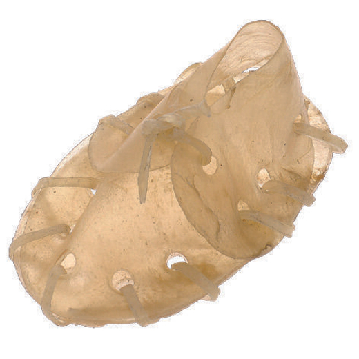 Лакомство для собак "Грин Кьюзин" GREEN QZIN ЖЕВАТЕЛЬНЫЕ БАШМАЧКИ 3", NATURAL