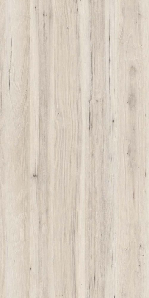 Дуб Чарльстон