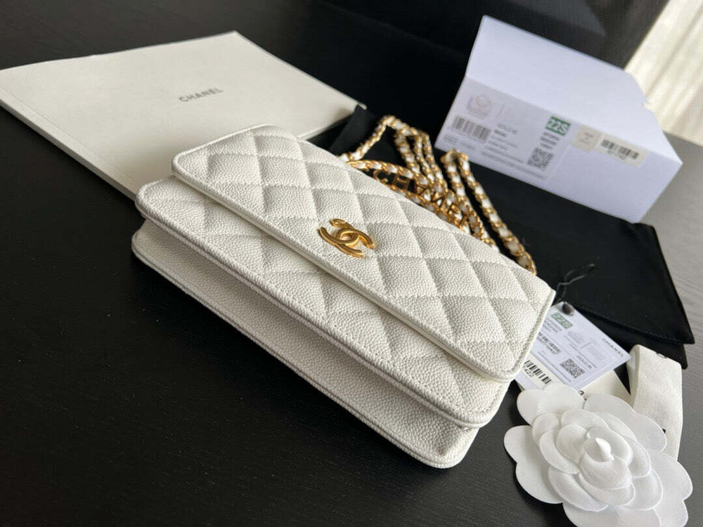 Chanel Bag 19 cm