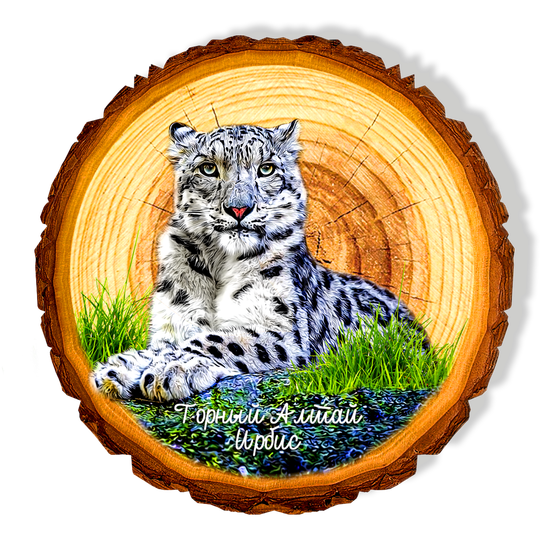 Магнит спил "Ирбис"