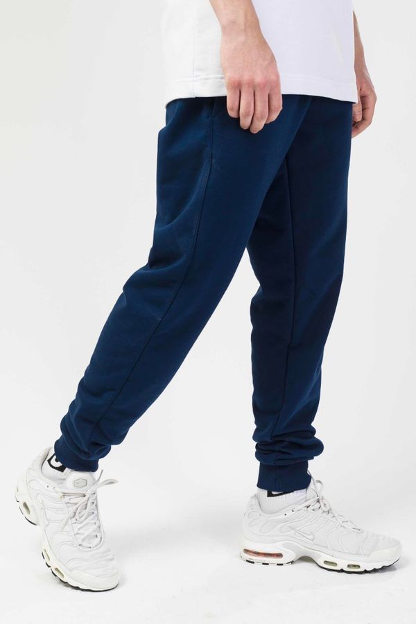 Брюки спортивные Basic Summer Синие Темные - фото 1