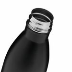 термобутылка PARKY