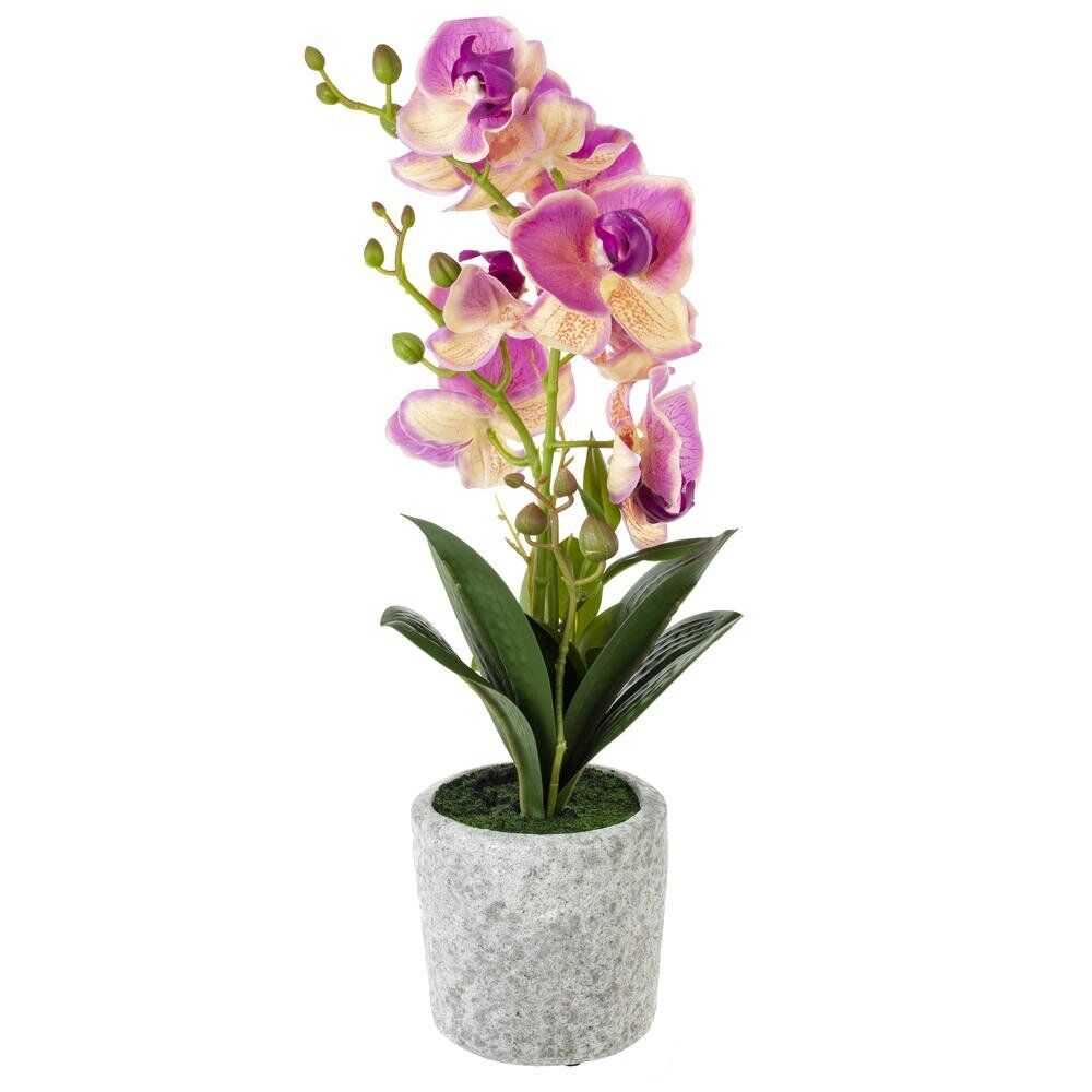 GAEM Цветочная композиция "Орхидея", L16 W16 H45 см