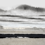 Дизайнерские обои Wall Street Euphoria