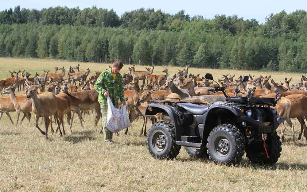 Квадроцикл BALTMOTORS Striker 700 EFI (ПСМ)