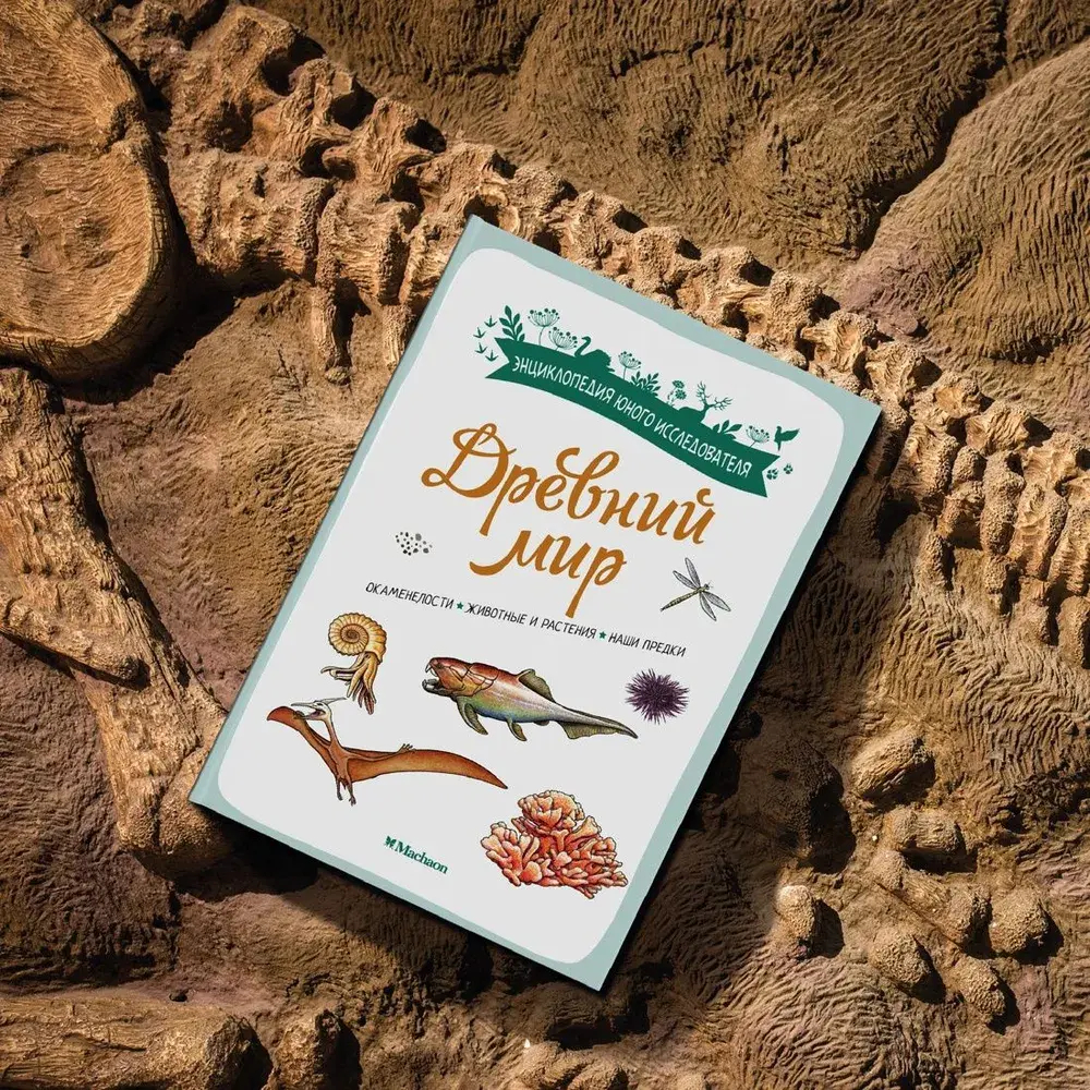 Древний мир