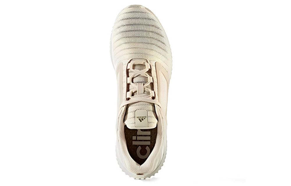 Кроссовки Adidas Climacool