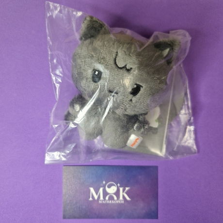 Игрушка TINY ANITEEZ PLUSH DOLL WOOYOnyang