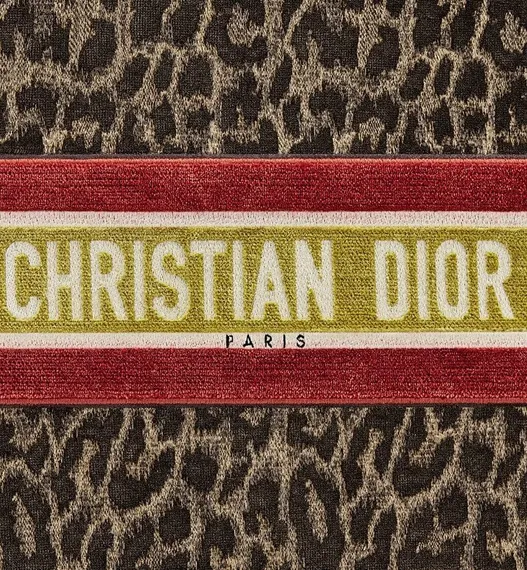 Сумка Dior Book Tote коричнево-бежевый