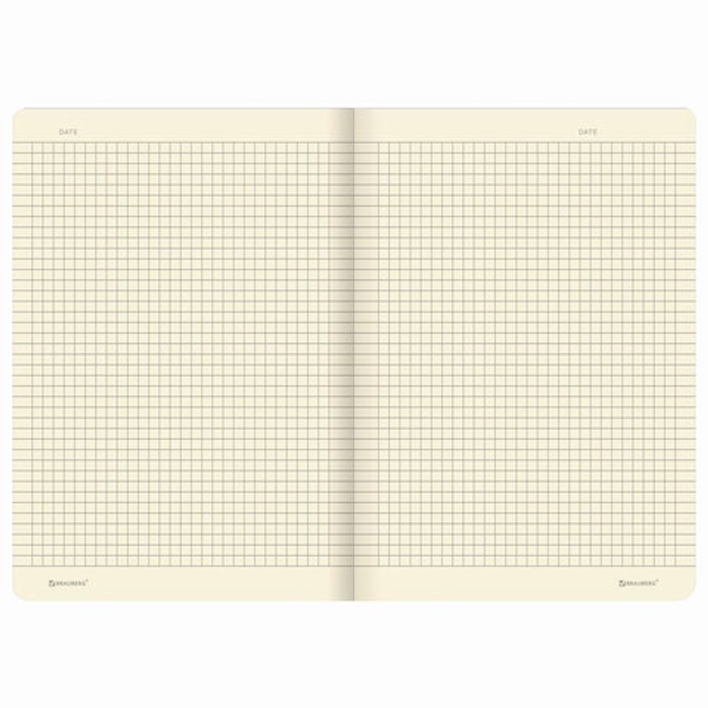 Тетрадь 40 л. в клетку обложка SoftTouch, бежевая бумага 70 г/м2, сшивка, А5 (147х210 мм), ЛИСТЬЯ, BRAUBERG, 403781