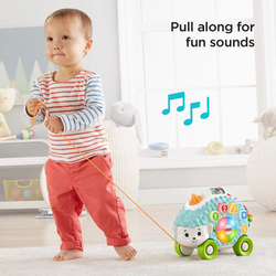 Fisher-Price Linkimals — интерактивный ёжик со светом и звуком, вер. ПЛ GJB11