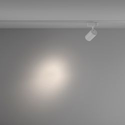 Трековый трехфазный светодиодный светильник Maytoni Trinity Vuoro TR029-3-10W4K-S-W